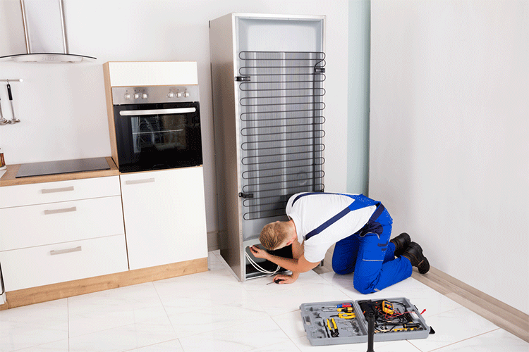 Top-Notch Appliance Repair Technicians Near Me  