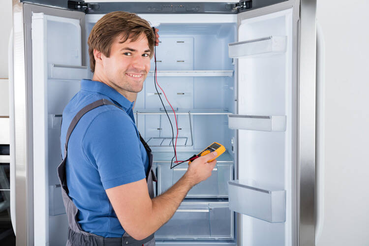 frigidaire professional refrigerator temperature problems